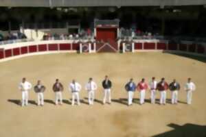 photo Courses Landaises