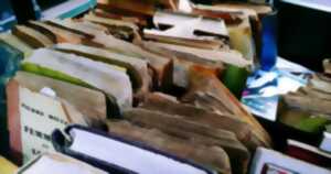 photo Brocante des Platanes à Puy-l'Evêque