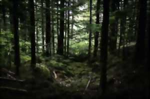 photo Sortie écotourisme : Quand la nature nous parle