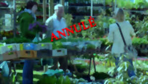 photo Marché aux Plantes et aux Pots