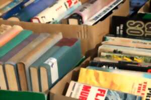 Fête du livre