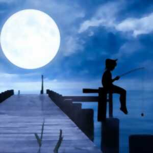 photo Semi nocturne grosses truites