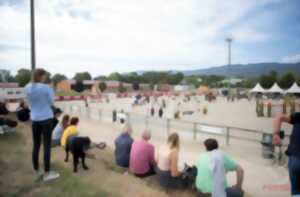 photo Concours Jumping des vendanges