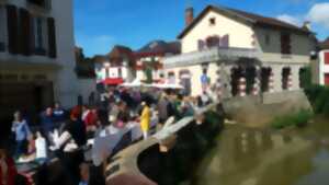 Vide-Grenier de Salies à Peindre