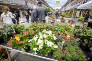 photo Un jardin dans ma ville