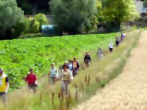 Initiation à l'occitan à Bistrot de Nas