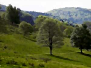 Sentiers plaisir : Autour du Chenot