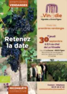 Visites du vignoble de la Vinadie