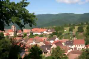 photo Le Train gourmand du vignoble : parcours Osenbach