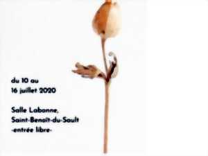 photo Exposition de Martine Chaintrier