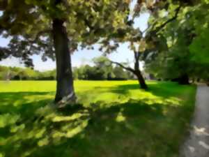 photo Rendez-vous aux jardins : parc du manoir