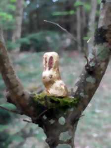 photo Chasse aux œufs de Pâques