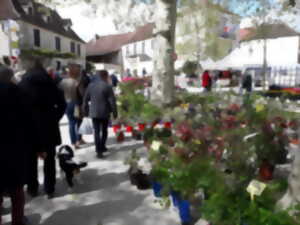 photo Fête de Printemps