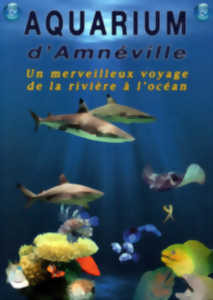 AQUARIUM D'AMNÉVILLE - Aquarium - Amnéville (57360)