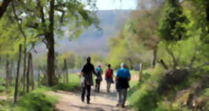 photo Marche gourmande d'automne