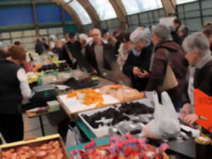 photo Foires grasses de Brive