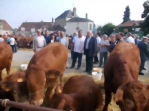 Foire bovine