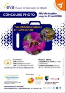 photo Concours photo 