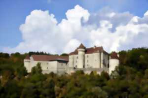photo Journées du Patrimoine - Visite du Château de Vaillac et ses Ecuries