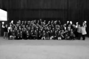 LES DEFIS DU BOIS