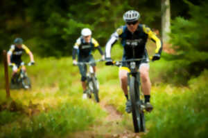 photo Elsass'Bike