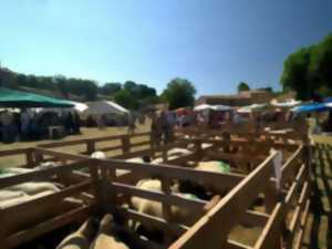 FOIRE AUX BESTIAUX