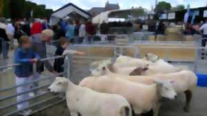 Festival de l'agriculture en Picardie Maritime