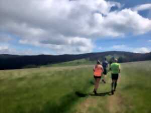 photo Trail du Schnepf