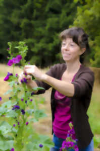 DÉCOUVERTE DES PLANTES SAUVAGES, MÉDICINALES ET COMESTIBLES