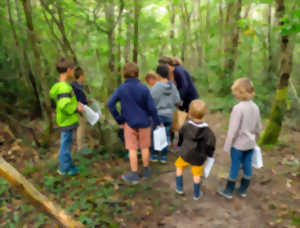 photo Chasse au trésor