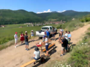 photo Pique-nique chez le vigneron indépendant - Domaine Schmitt-Carrer