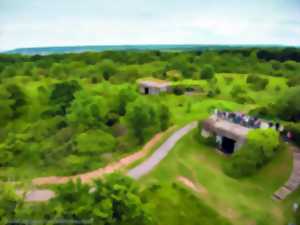 Visites guidées des batteries du Mont Canisy - Journées européennes du mur de l'Atlantique
