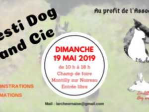Festi Dog and Cie
