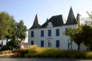 Exposition