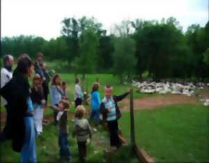 photo Anniversaire de la Ferme des Cazalous à Puyjourdes