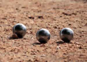 LOISIRS : Concours de pétanque