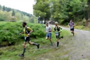 TRAIL DES HAUTES MYNES