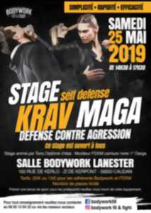 Stage krav maga self-défense