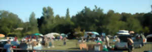 Vide-greniers à Castelnau-Montratier