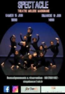 Spectacles de danse : Step Dance's