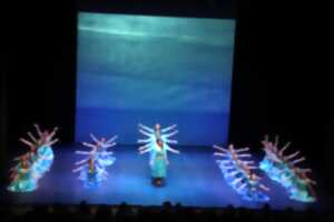 Spectacle de danse : les Mousquetaires