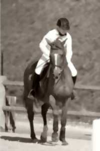 photo Eté Actif : Equitation
