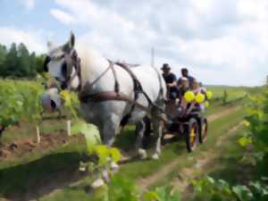 photo Portes ouvertes au Domaine des Ouches