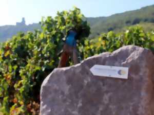 photo 1er gueuleton du vigneron