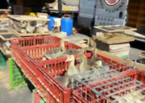 MARCHE : marché franc à Noyon