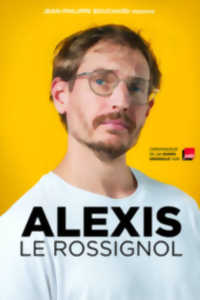 Téléchargement gratuit Images Vaucluse Spectacle Comique Alexis Le Rossignol Agenda actualisé par