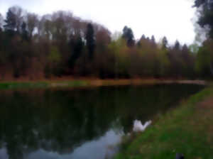 photo Fete de l'eau a l'étang des cailloux