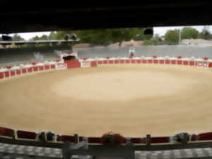 Visite des Arènes