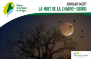 photo La nuit de la chauve-souris - À partir de 8 ans