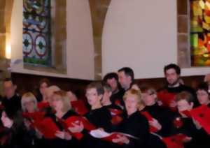 photo Concert chorale estivale hollandaise